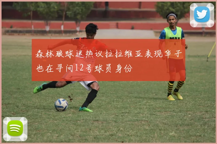森林狼球迷热议拉拉维亚表现华子也在寻问12号球员身份
