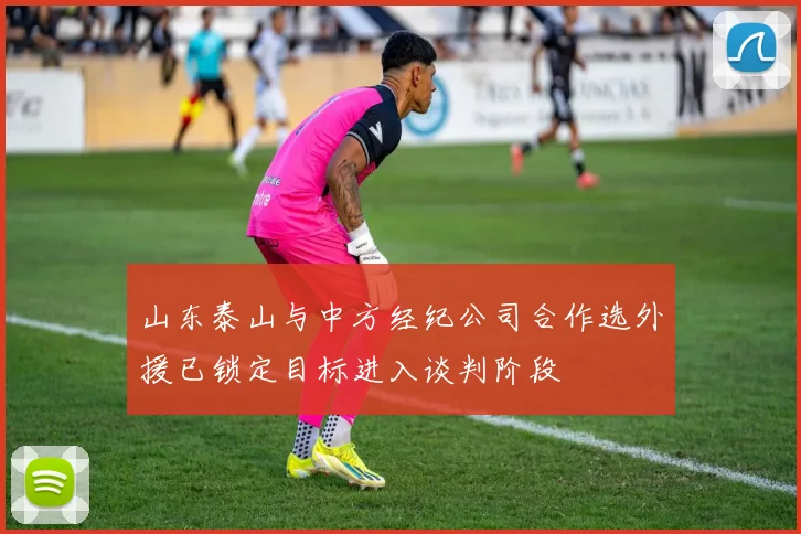 山东泰山与中方经纪公司合作选外援已锁定目标进入谈判阶段