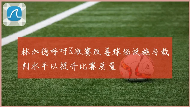 林加德呼吁K联赛改善球场设施与裁判水平以提升比赛质量